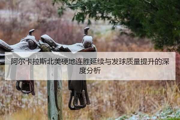 阿尔卡拉斯北美硬地连胜延续与发球质量提升的深度分析